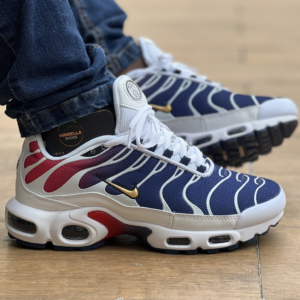 Air Max Tn Paris