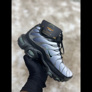 Nike Air Max TN Pr/Br/Az