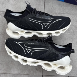 Prophecy 14