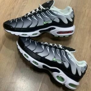 Air Max Tn v105