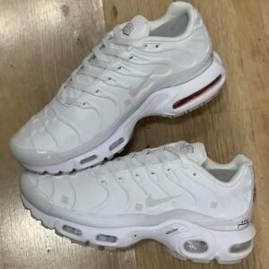 Air Max Tn v34